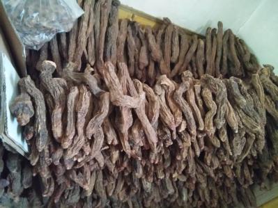 阿拉善精选锁阳