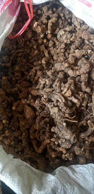出售野生苍术，带朱砂点。统货