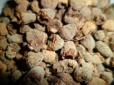 家有2500公斤晒干覆盆子，有需要联系