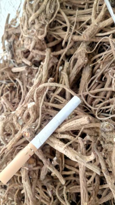 出售1.4吨白花前胡干货，产地一手货源，产地贵州
