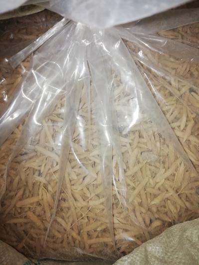 麦冬出售