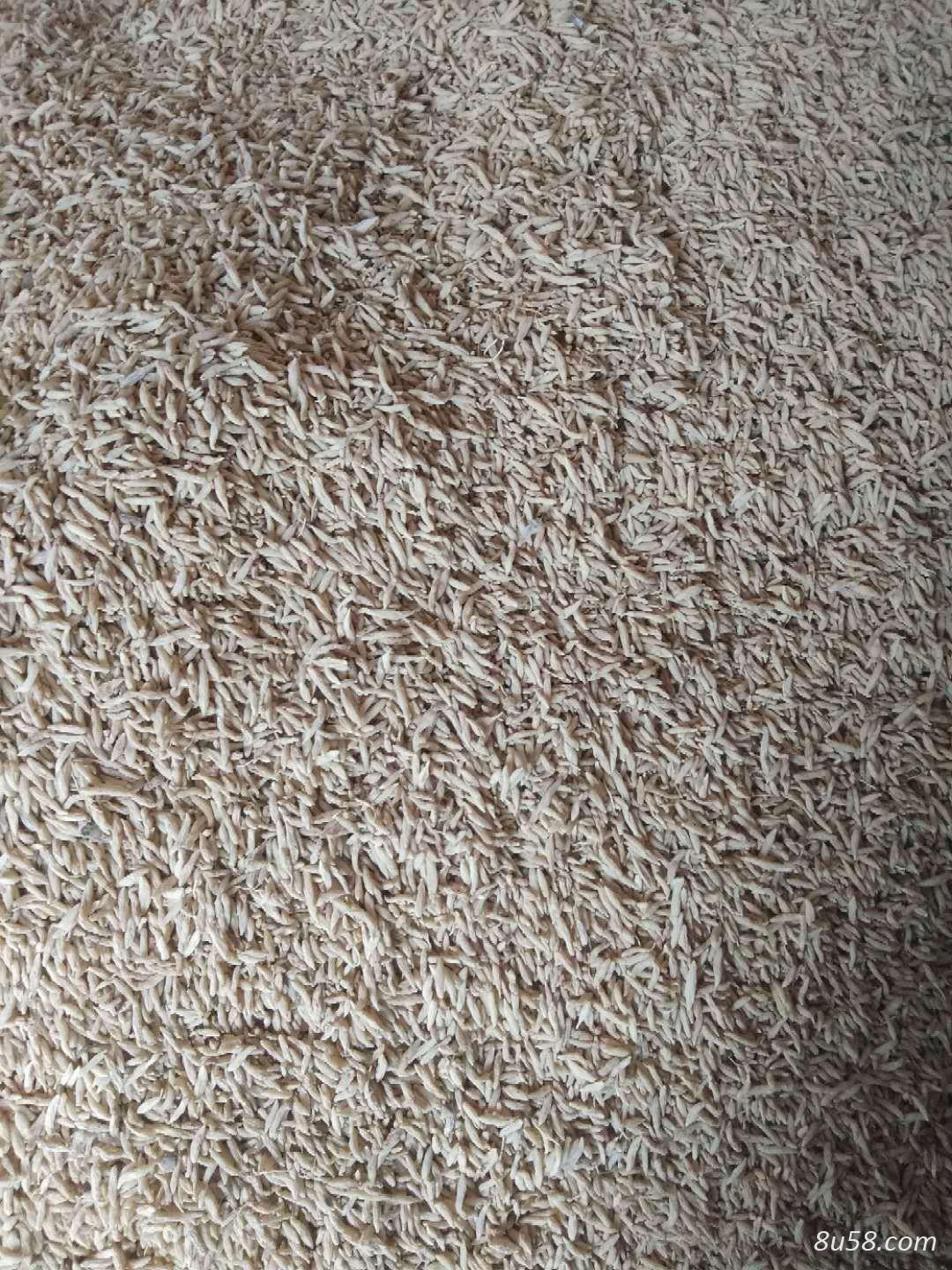 有没有收川麦冬的