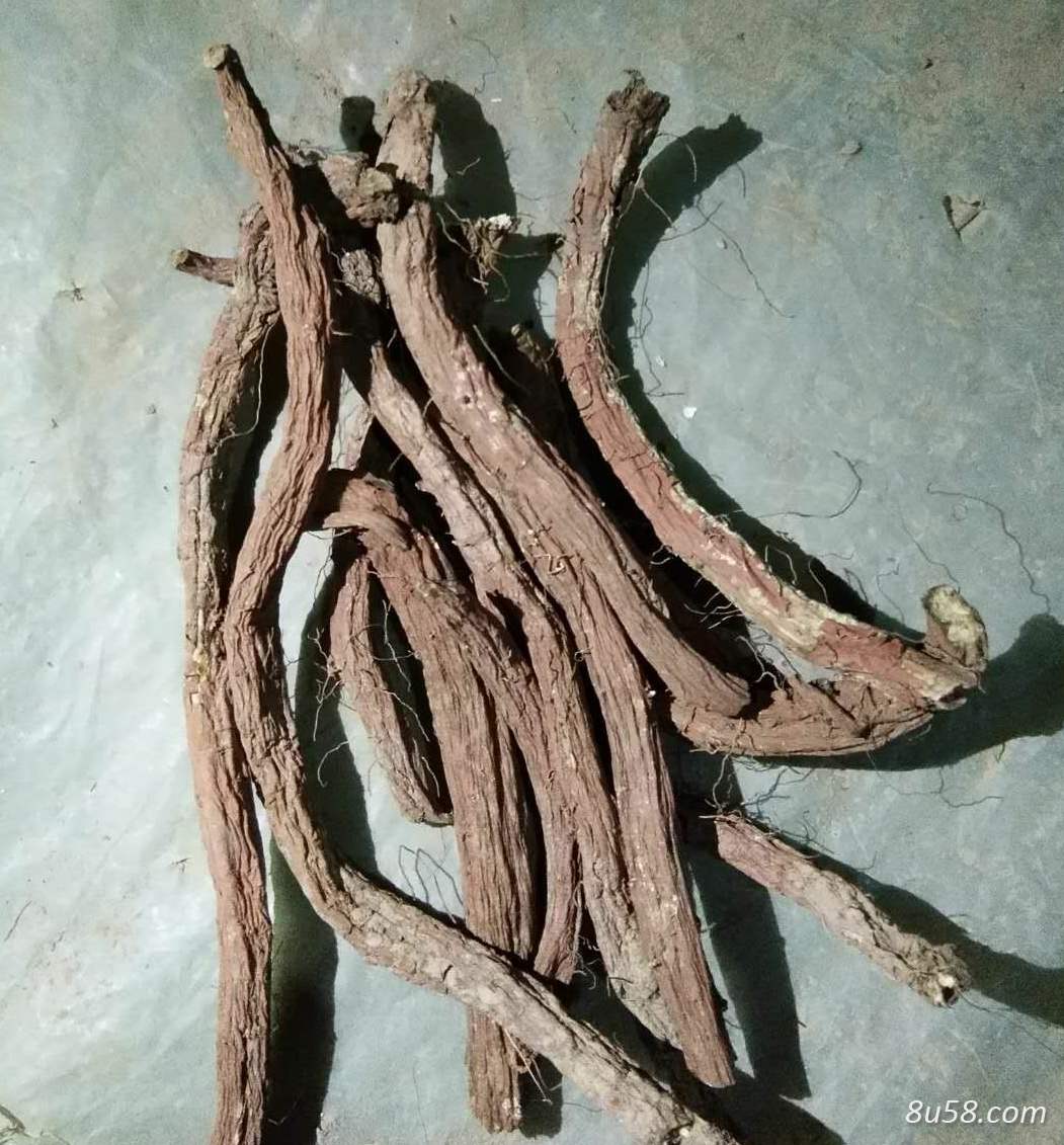 丹参药材自己家种的纯货 丹参药材自己家种的纯货