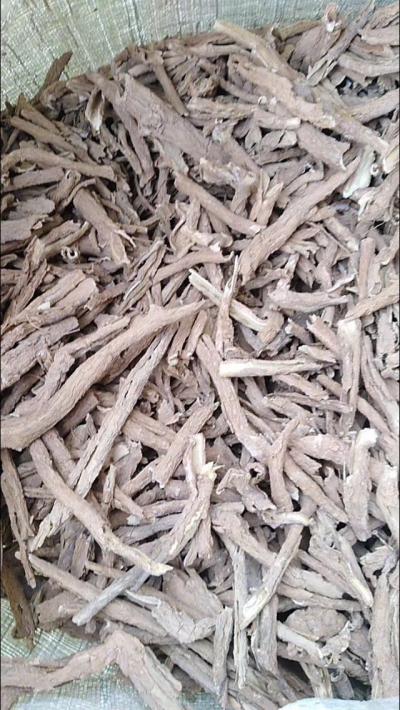 纯野生含量足、过筛地骨皮