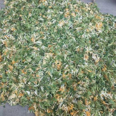 金银花