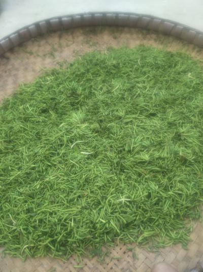 金银花