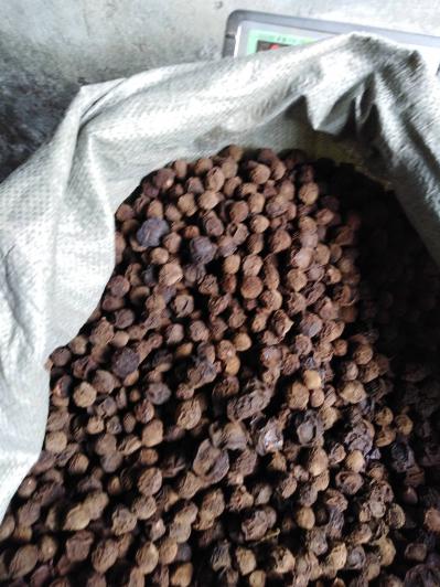 大量出售乌梅