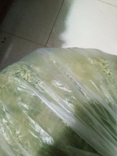 金银花杀青货