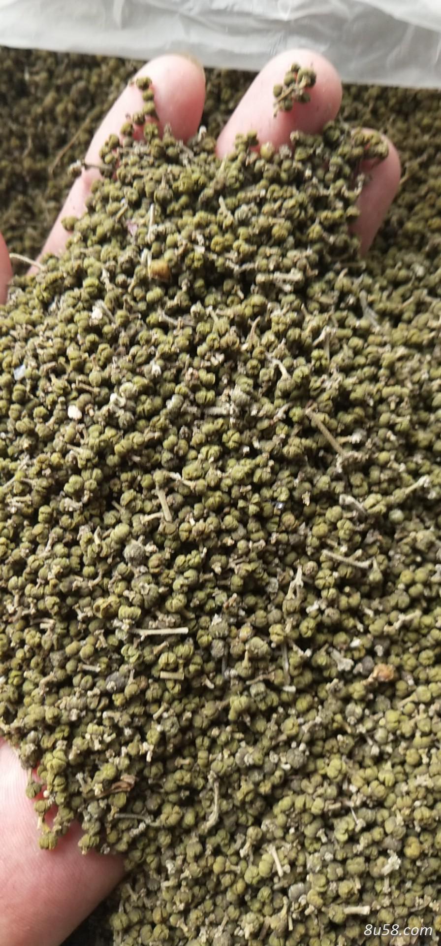 中花吴茱萸干果，小花吴茱萸干果