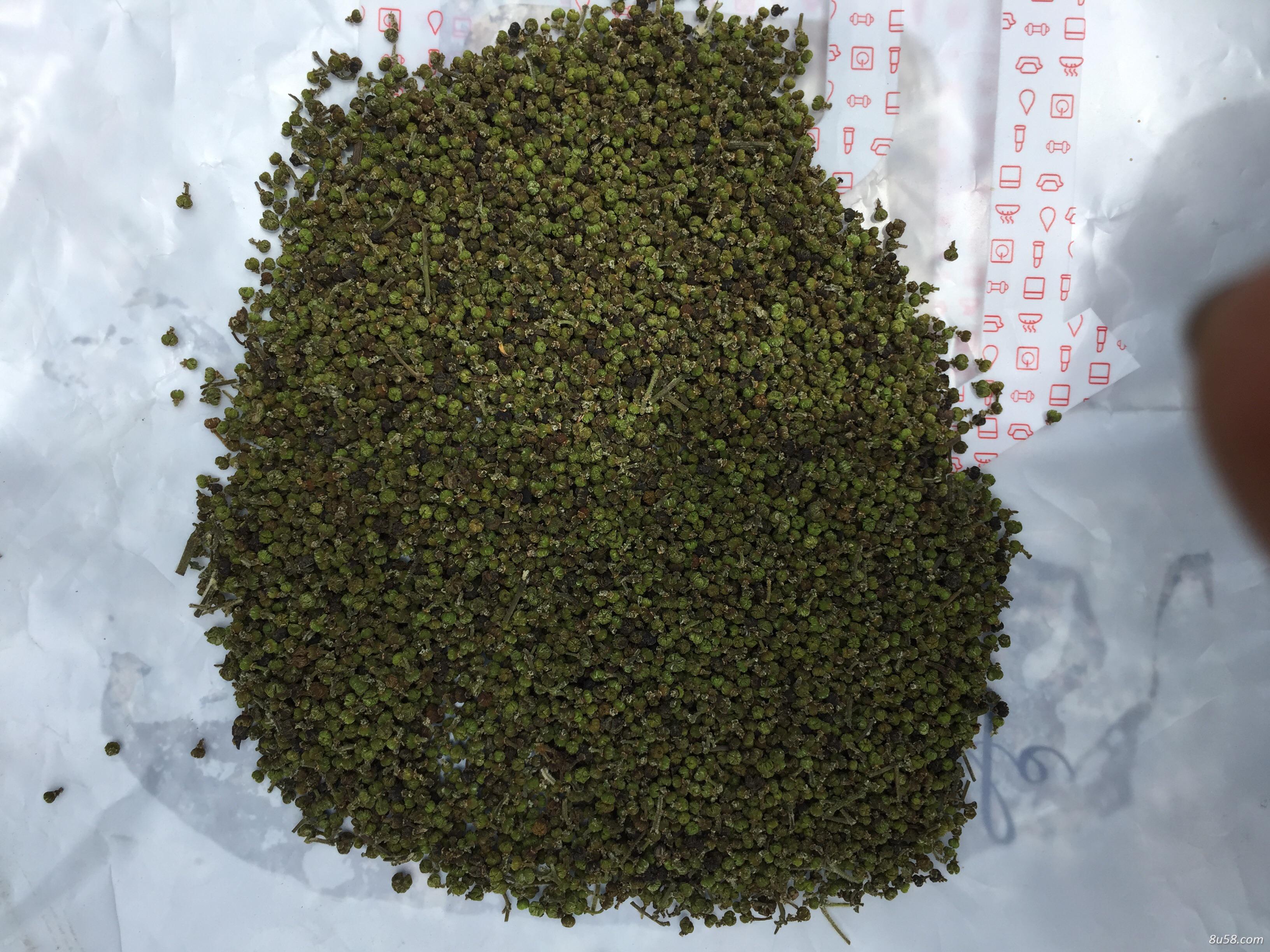 优质吴茱萸