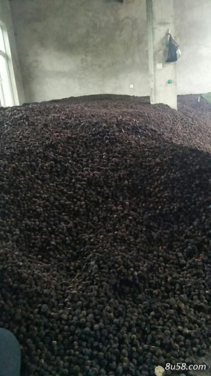 乌梅销售