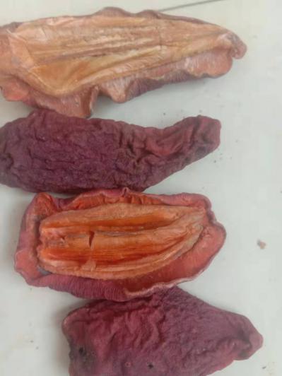 现有十余吨皱皮药用木瓜出售，有意者联系