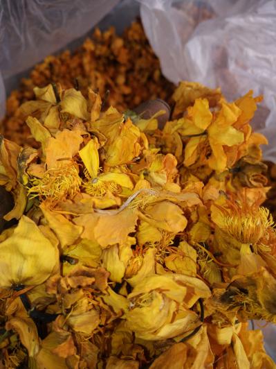 大兴安岭野生金莲花，烘干茶用统货