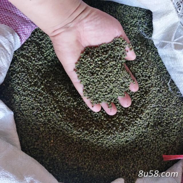 吴茱萸