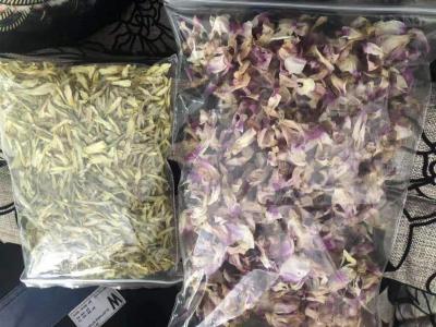 小量金钗斛片和花花出售