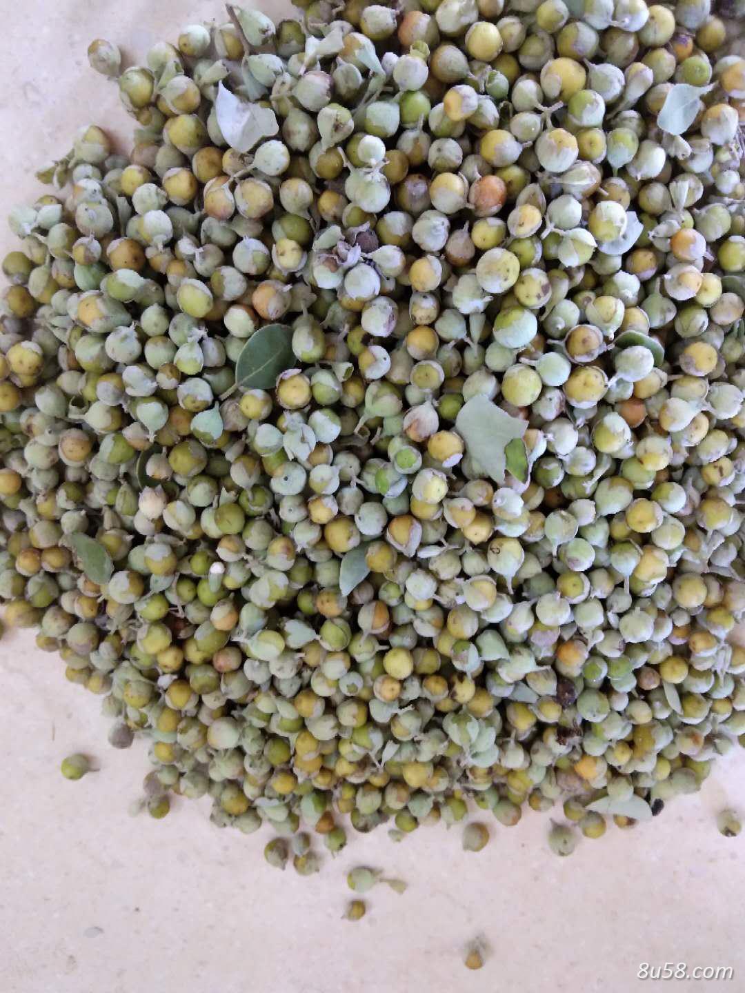 江西蔓荆子，大量诚信出售