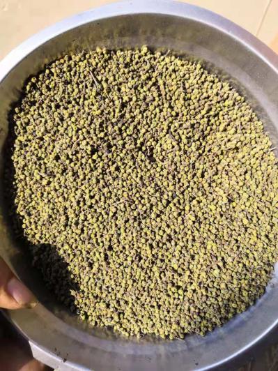 出售2019年江西吴茱萸中花