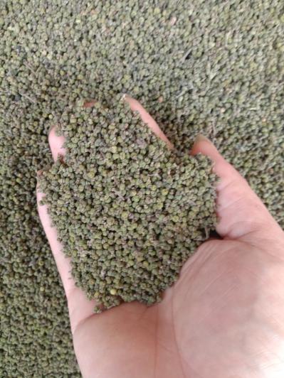 湖南吴茱萸出售