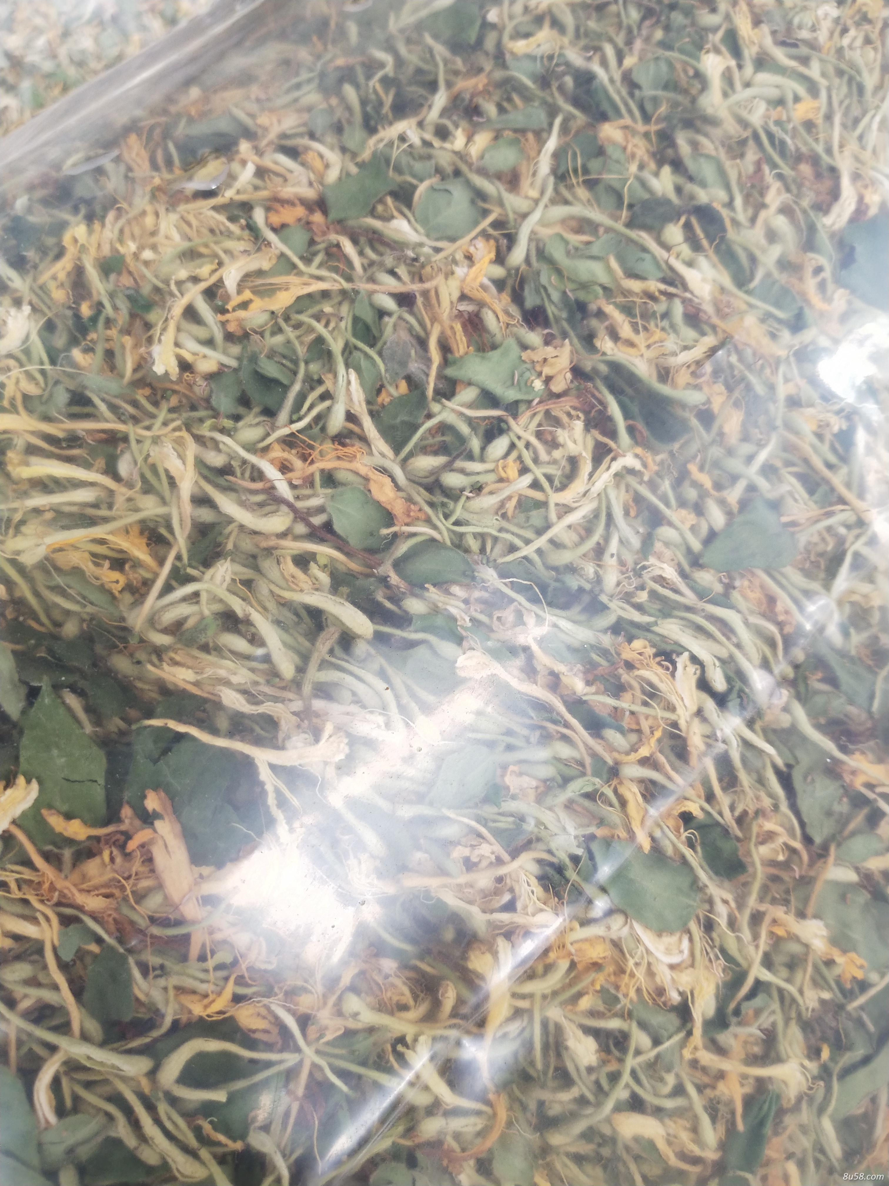 供应干金银花