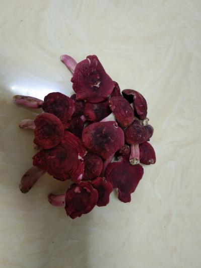 原生态野生红菇