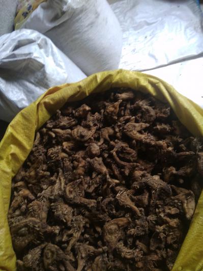 大量白芨干活出售有意者联系