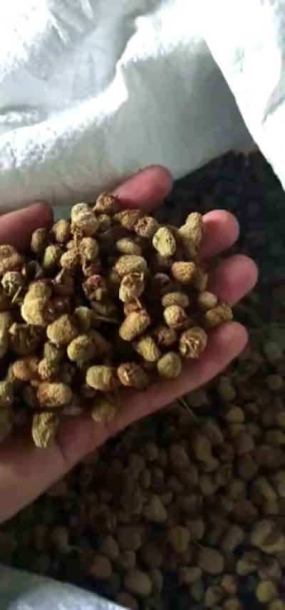 覆盆子产地直销