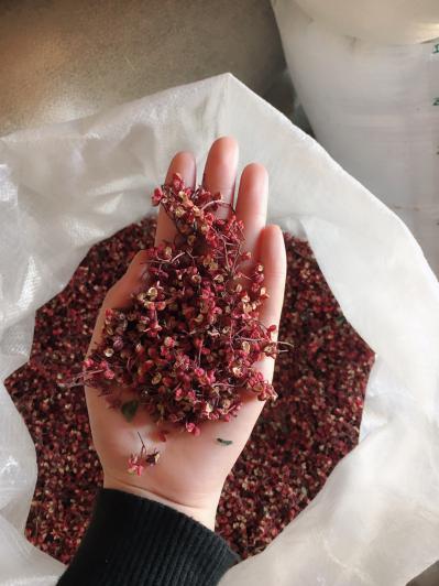 2019甘肃新食用特级大红袍花椒 干货