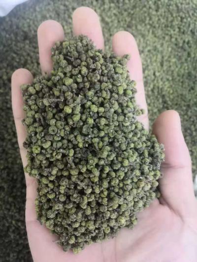 供应优质高产中花吴茱萸干品
