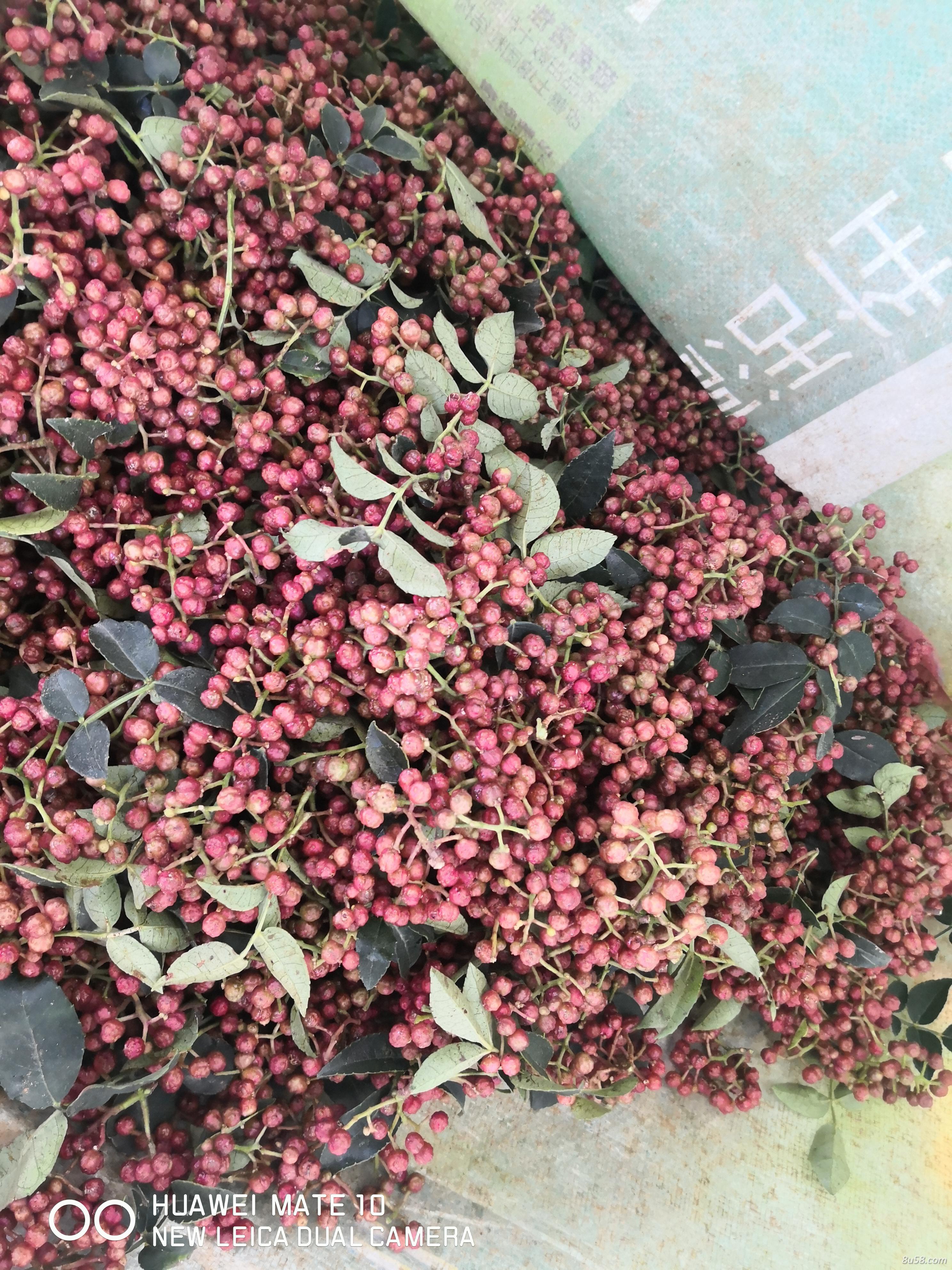 花椒，花椒籽