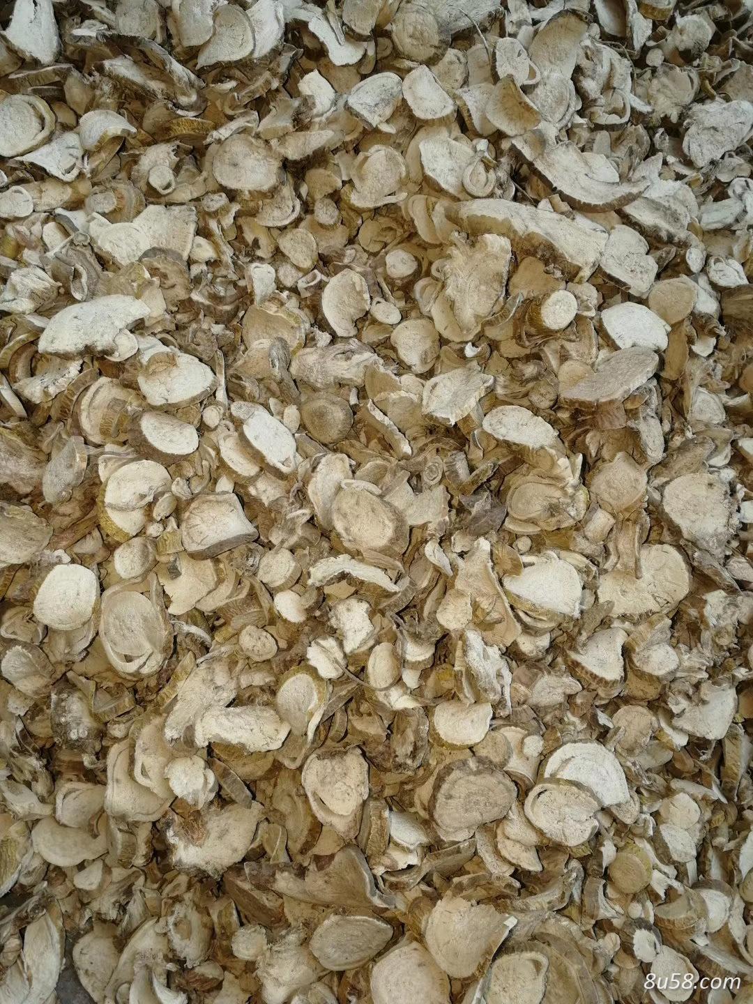 贵州松桃雨润中药材专业合作社精选苦参片苦参统片出售 贵州松桃雨润中药材专业合作社精选苦参片苦参统片出售