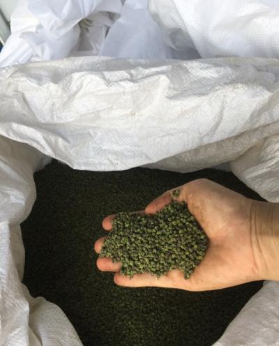 江西中花吴茱萸