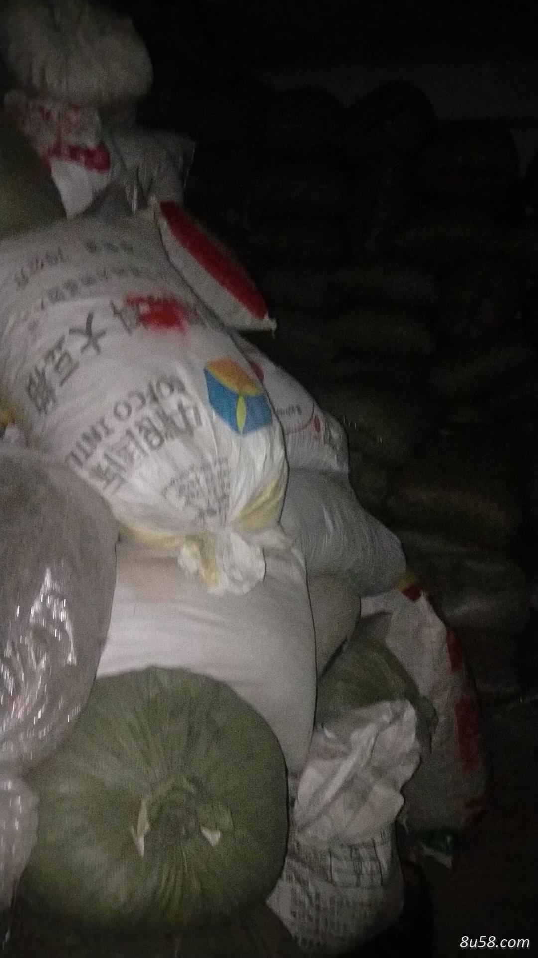 大量出售千里光