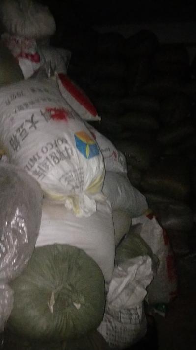 大量出售千里光