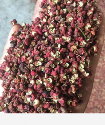 花椒产地直销质量有保障麻味十足