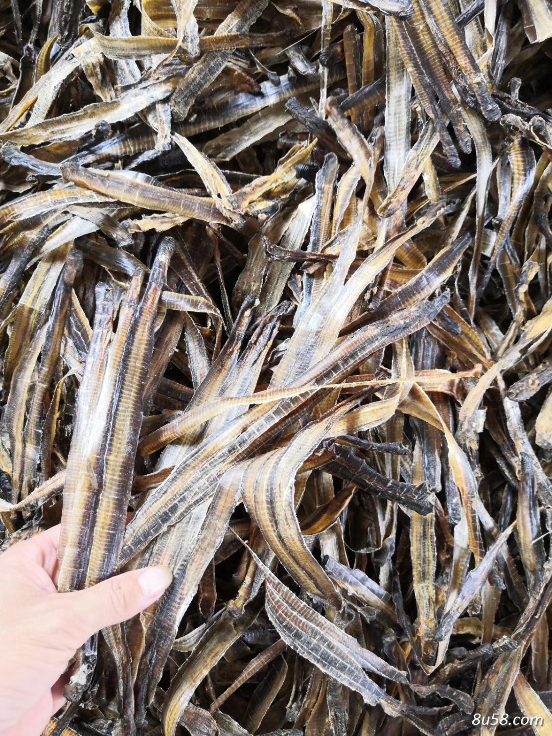 广东地龙干(蚯蚓干)地龙产地价格批发零售 广东地龙干(蚯蚓干)地龙产地价格批发零售