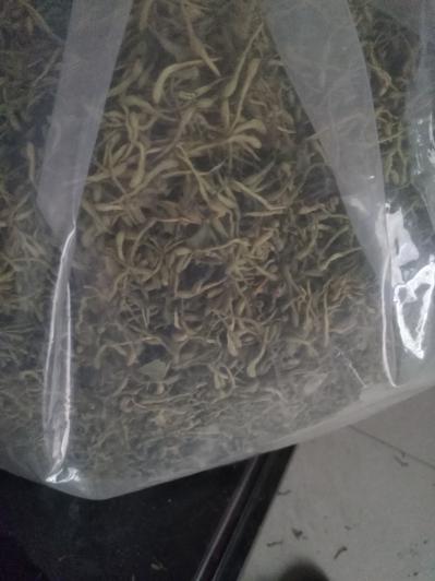 金银花