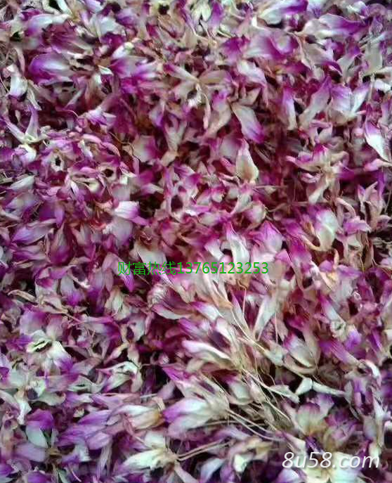 石斛干花，赤水金钗石斛干花