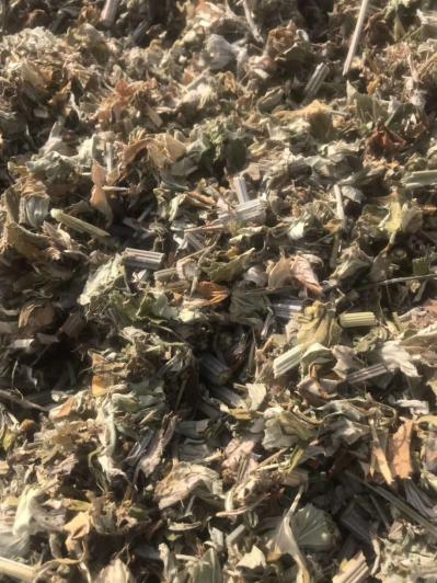 艾草片