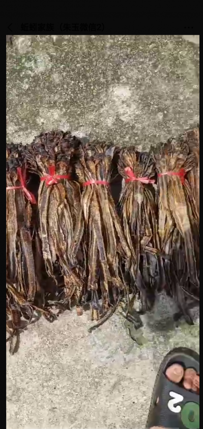 精品地龙干