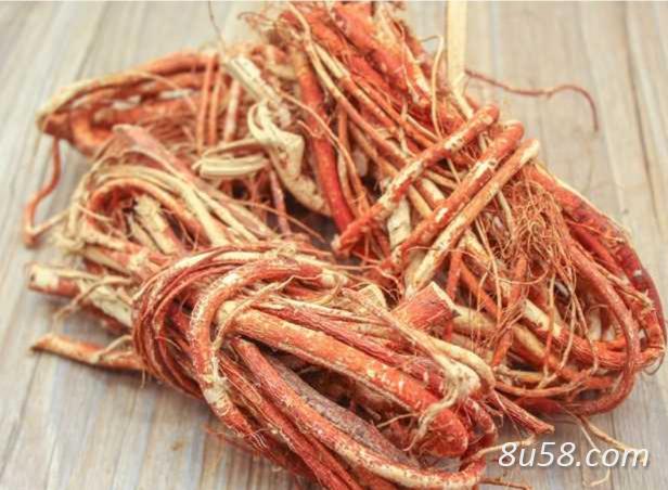 大量出售五指毛桃根 大量出售五指毛桃根