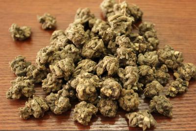 中药材猫爪草