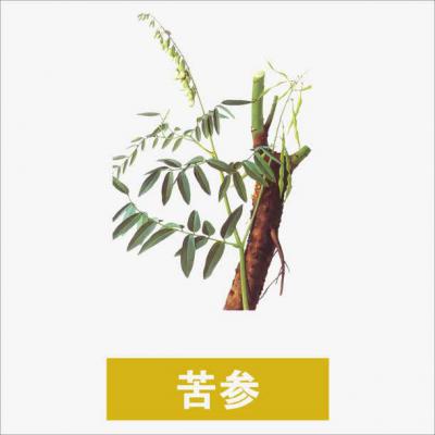 家有长了六七年以上的成年苦参，因为难挖出，所以一直没挖，现在有合适的价格就挖了