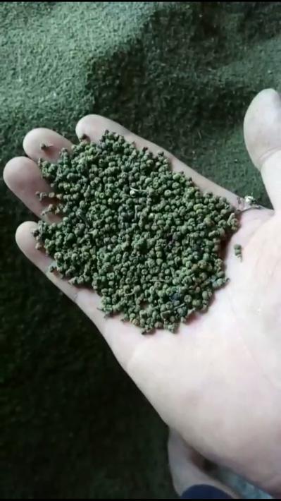 供应吴茱萸
