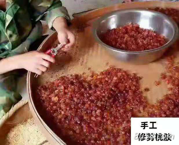 江西农家天然食用桃胶