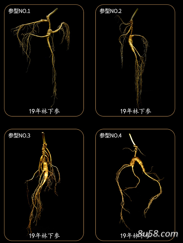 白山农夫一品人参，源自长白山脉种植基地