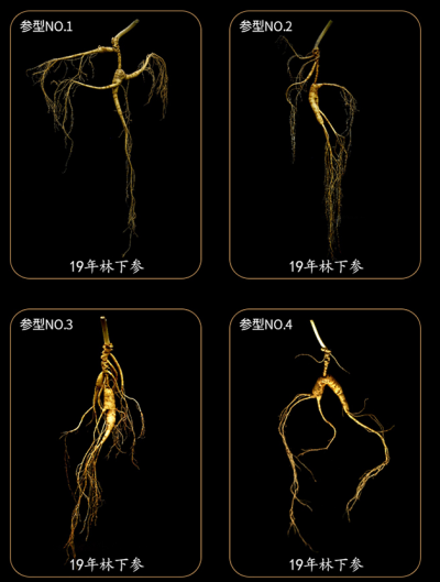 白山农夫一品人参，源自长白山脉种植基地