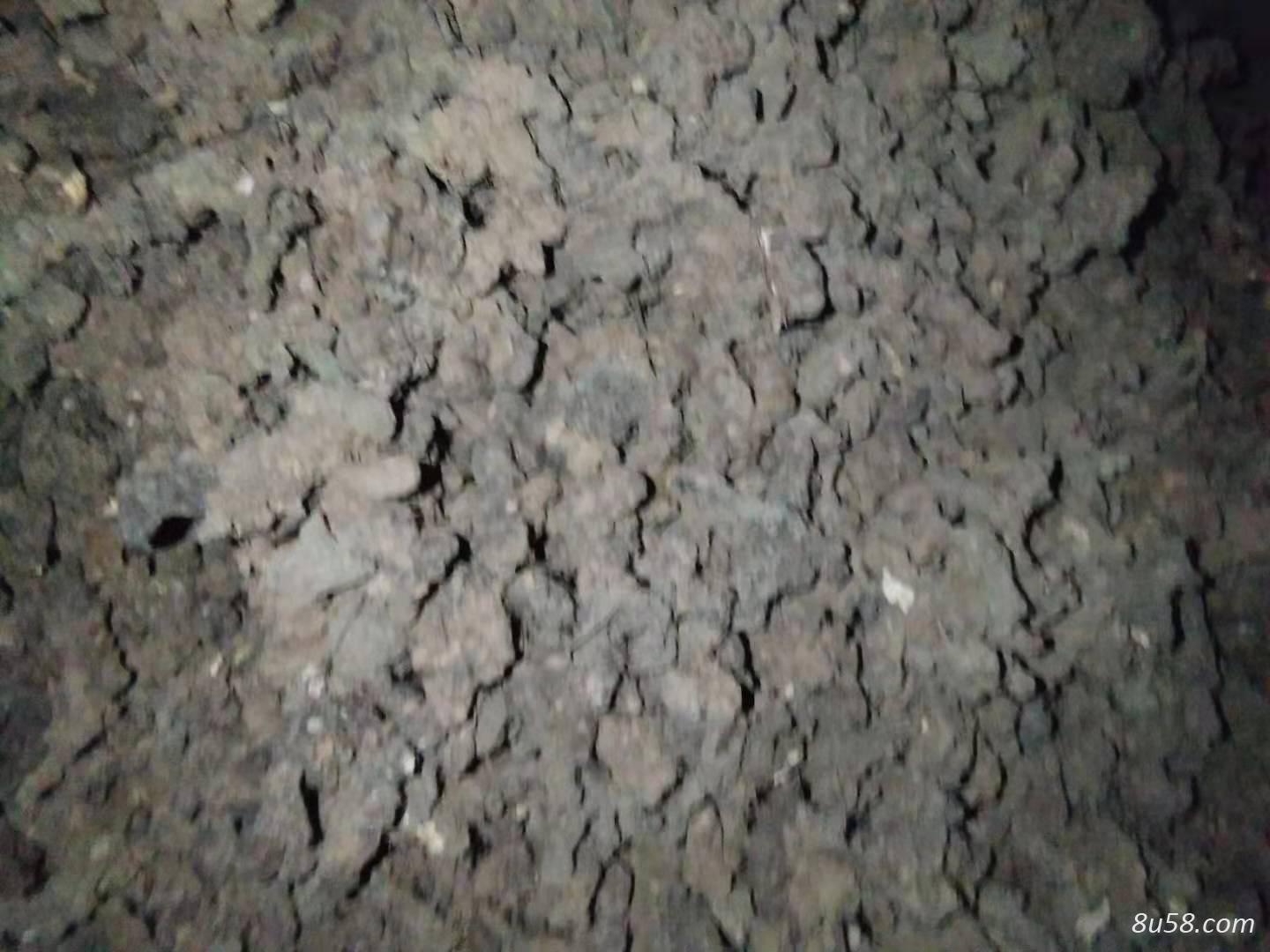 自家种植的猪苓，干货一千公斤左右，出售  价钱可商量