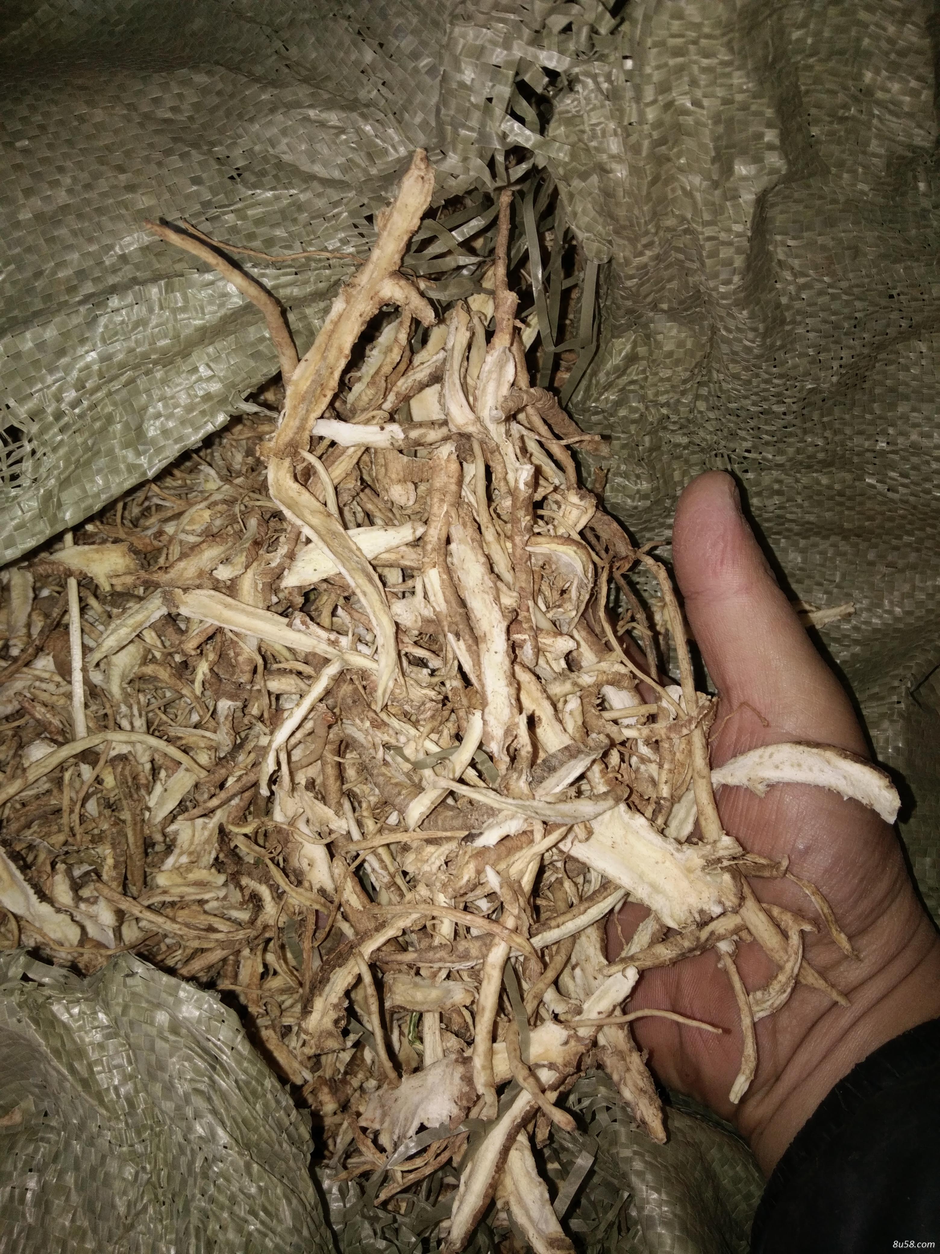 桔梗带皮斜片