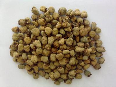 可提供中药材覆盆子干货