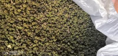 中花吴茱萸